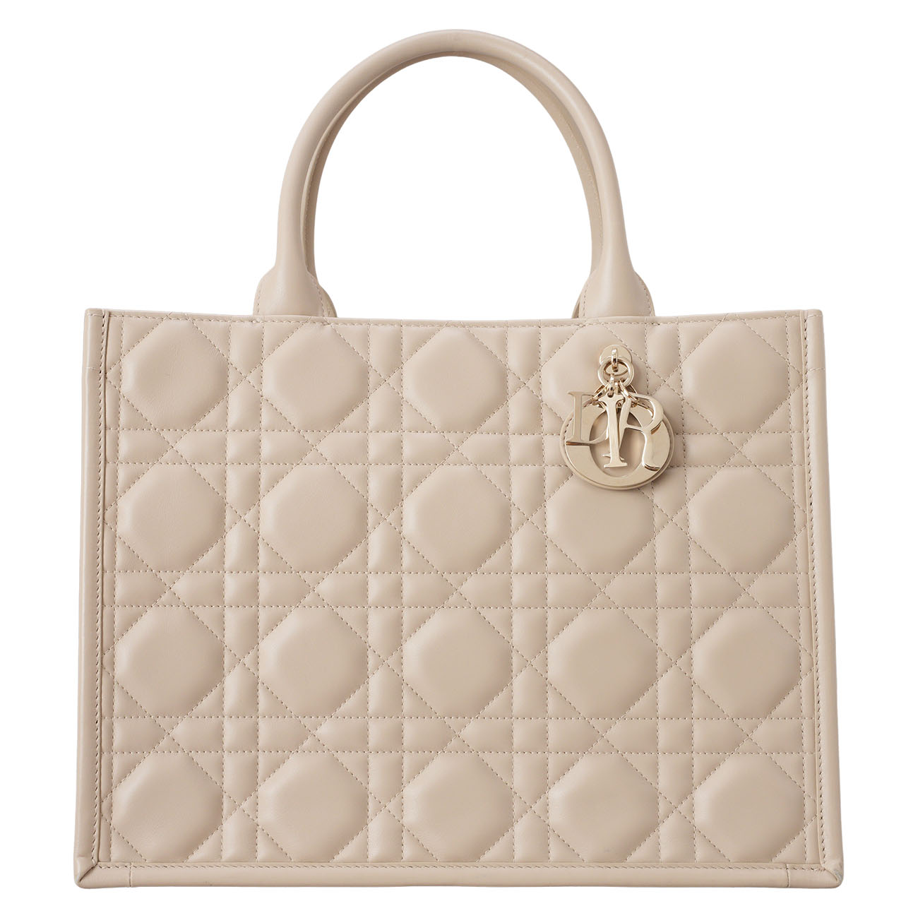 CHRISTIAN DIOR(USED)디올 레더 북토트 미듐